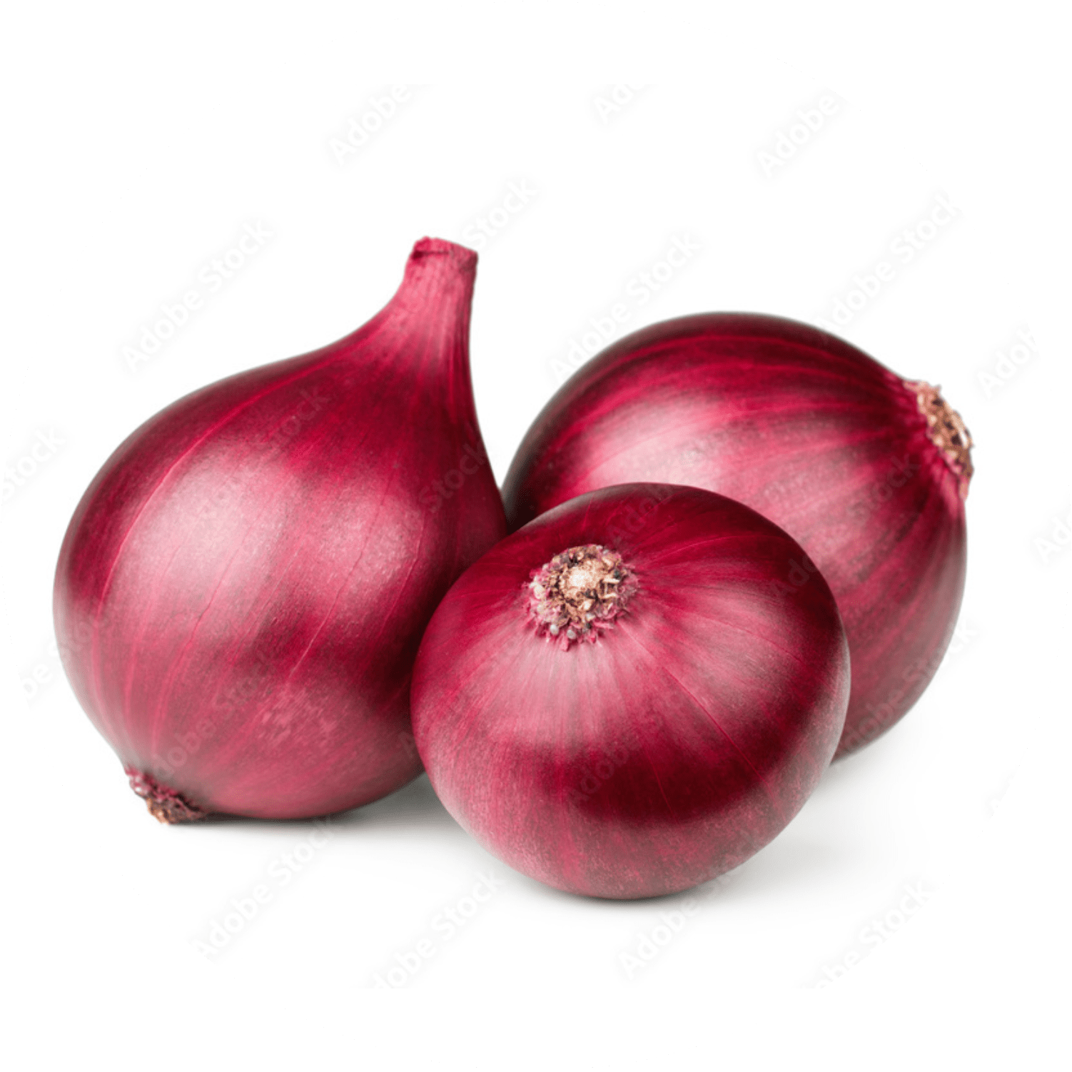 Onion